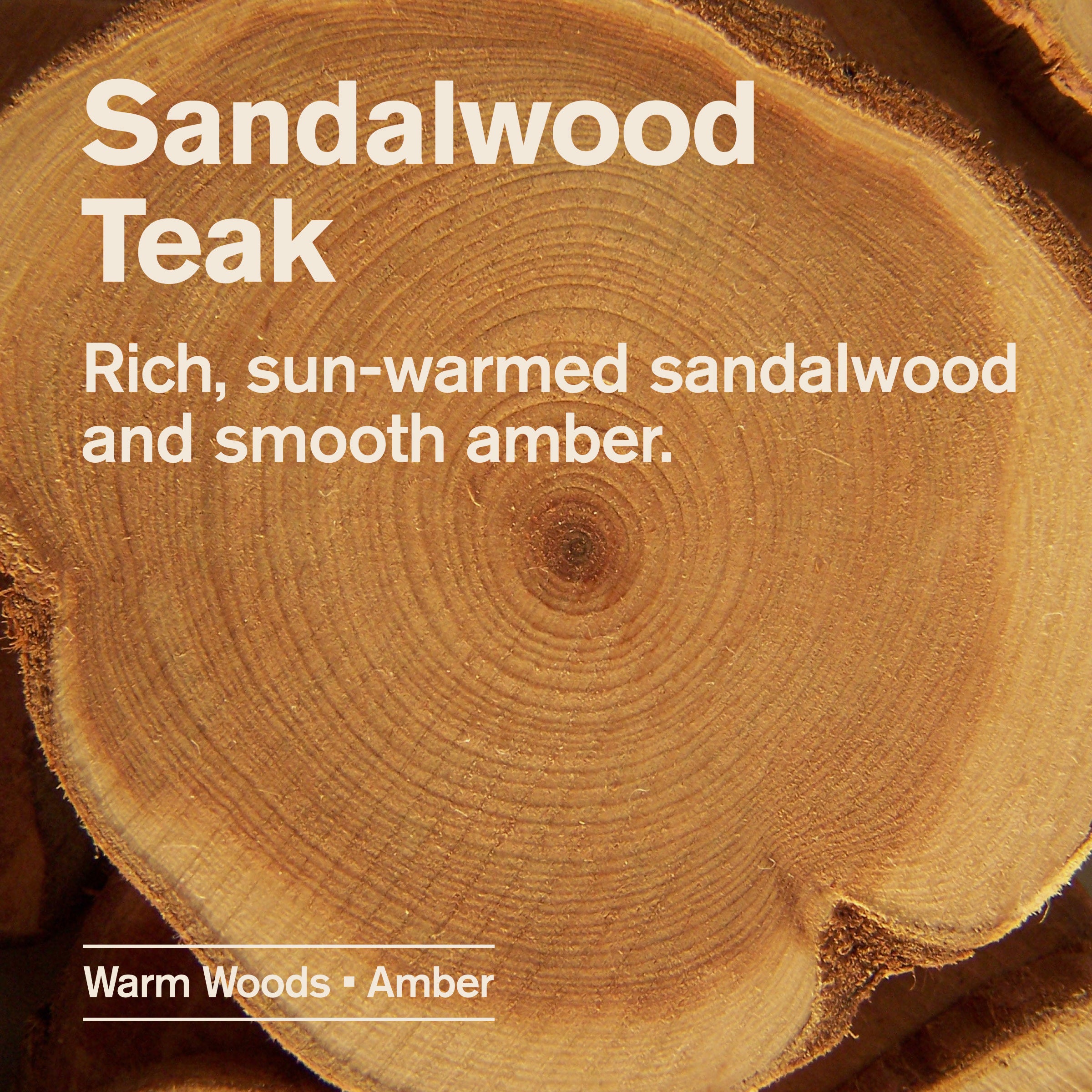img_00873